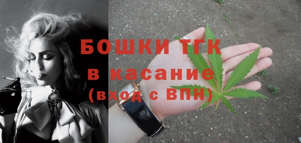 шишки Алексин