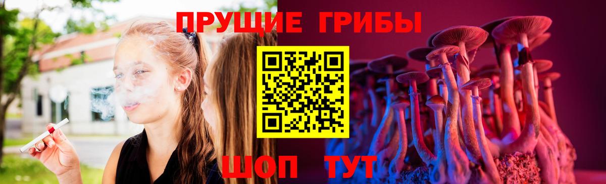 Псилоцибиновые грибы Cubensis  Вход с VPN  Евпатория 